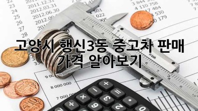 고양시 행신3동 중고차 판매 가격 알아보기 💯