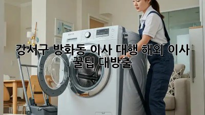 ✈️ 강서구 방화동 이사 대행? 해외 이사 꿀팁 대방출! 📦