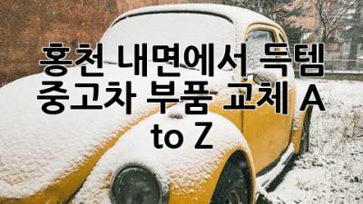 홍천 내면에서 득템?! ✨ 중고차 부품 교체 A to Z 🛠️
