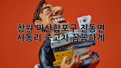 창원 마산합포구 진동면 사동리 중고차, 꼼꼼하게! 🚗✨